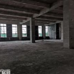 大港新区 金港大道 交通便利Q