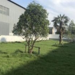 九成新环境好空地大厂房出租