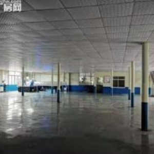 润兴路1800平厂房招租