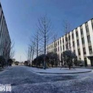 镇江大港新区全新产业园厂房出售 50年产权