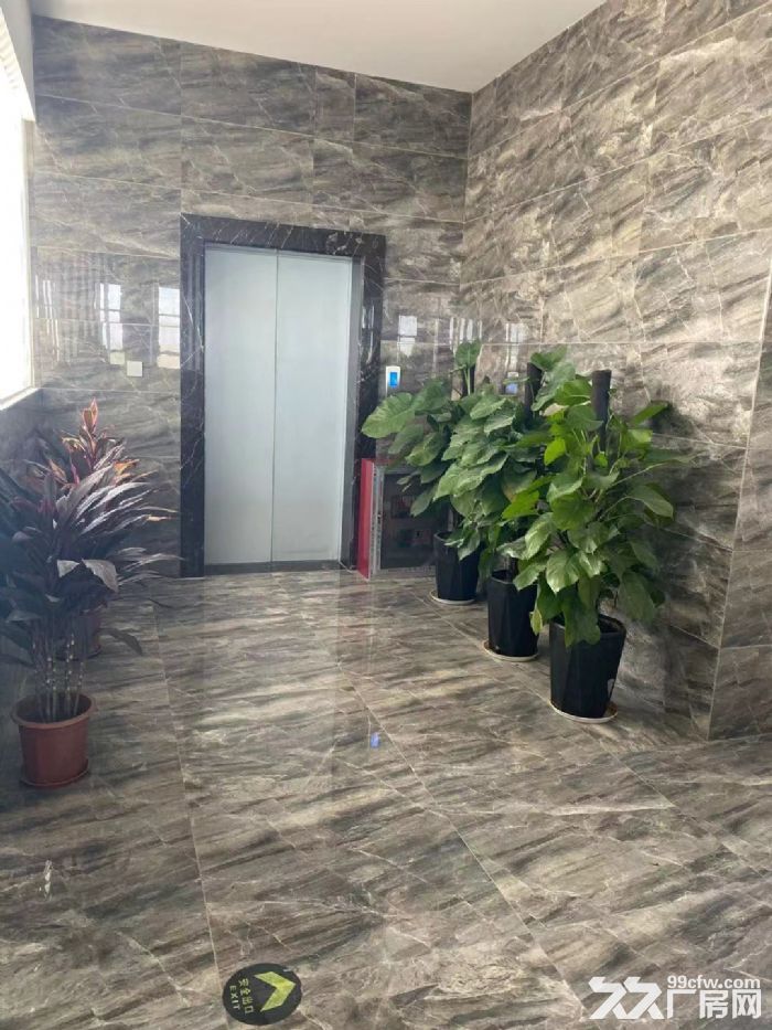 【独栋双拼厂房首层8.1米】扬中智能制造产业园-图4