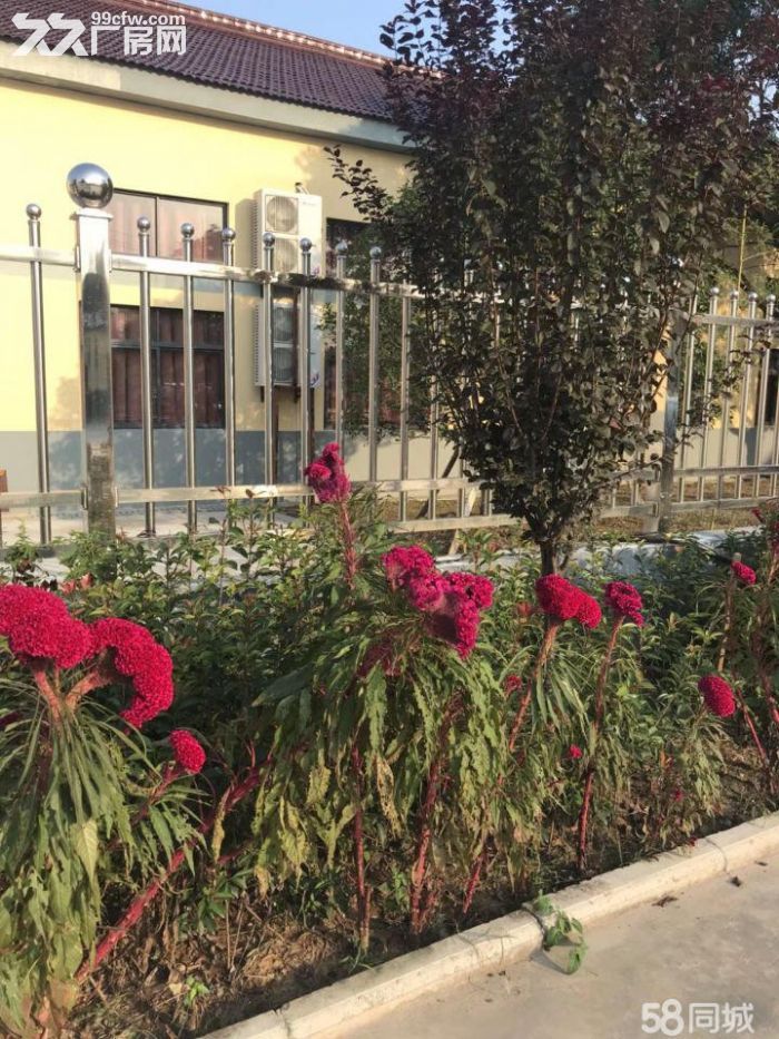 九成新环境好空地大厂房出租-图2