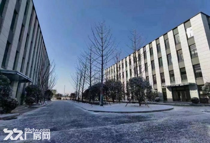 镇江大港新区全新产业园厂房出售 50年产权 可按揭 年底交付